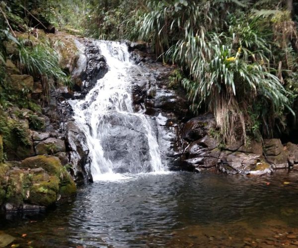 Biotopo_Cascadas.jpg