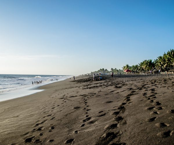 Monterrico_Playa