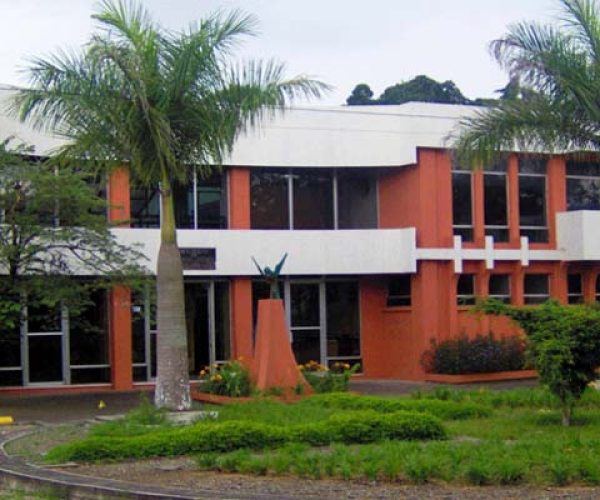 Museos_Museo-Historia-Natural-de-Guatemala
