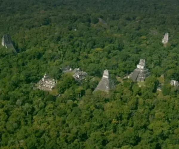 Tikal_La Selva